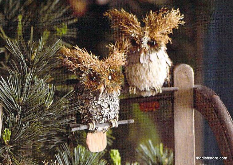 Roost Brushy Brow Owl Ornaments - Set Of 12