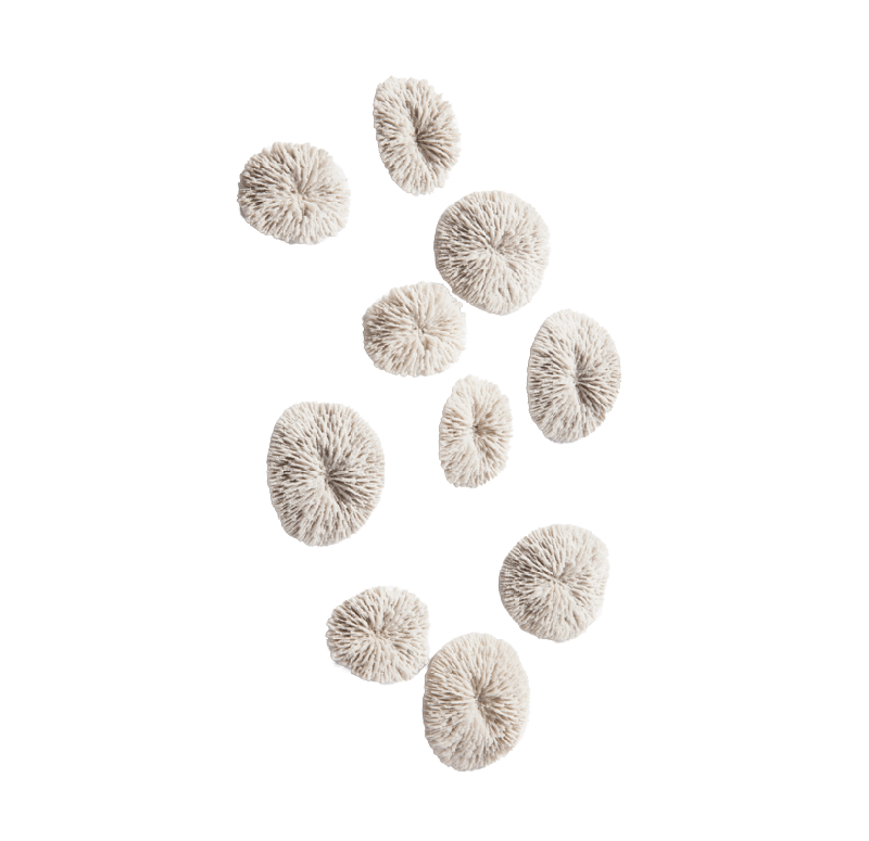 Gold Leaf Design Group Radica Wall Play - Set Of 10