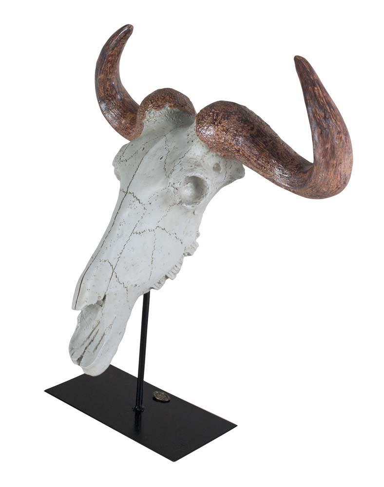 Buffalo Skull By Authentic Models