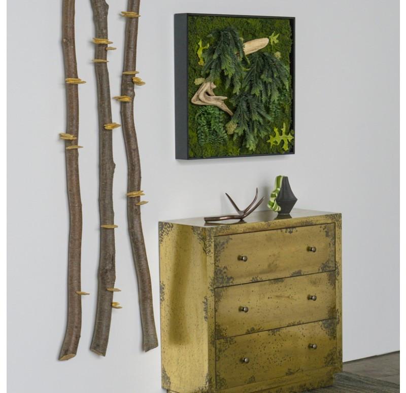 Gold Leaf Design Group Alder Wood Pole Hanging With Shelf Mushroom Wall Play - Set/ 3