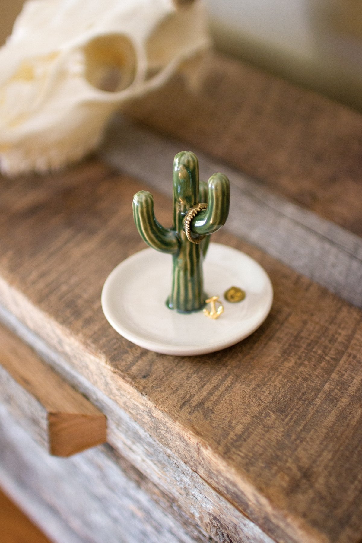 Kalalou Ceramic Cactus Jewelry Holder - Set of 6