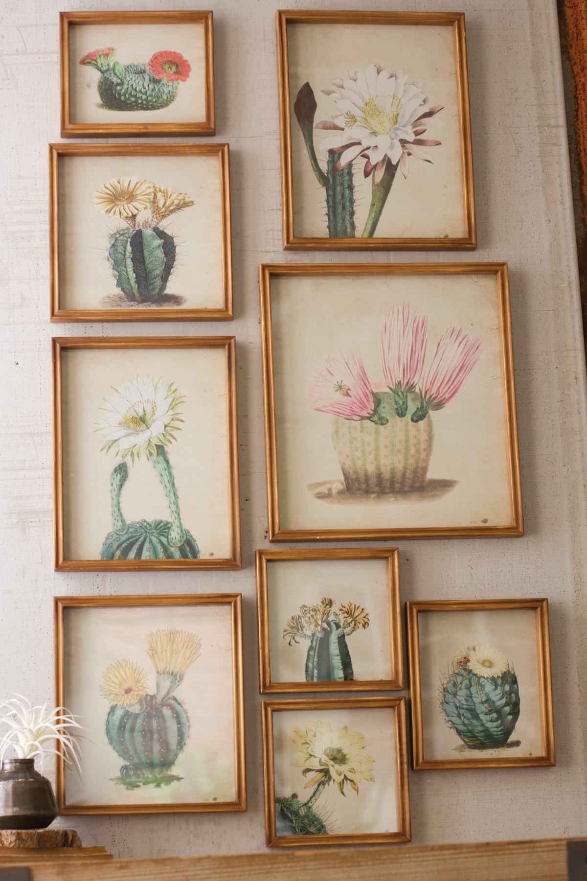 Kalalou Set Of 9 Cactus Flower Prints Under Glass