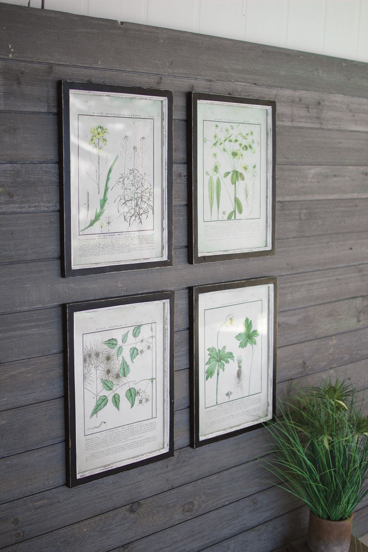 Kalalou Set Of 4 Framed Dandelion Prints Under Glass