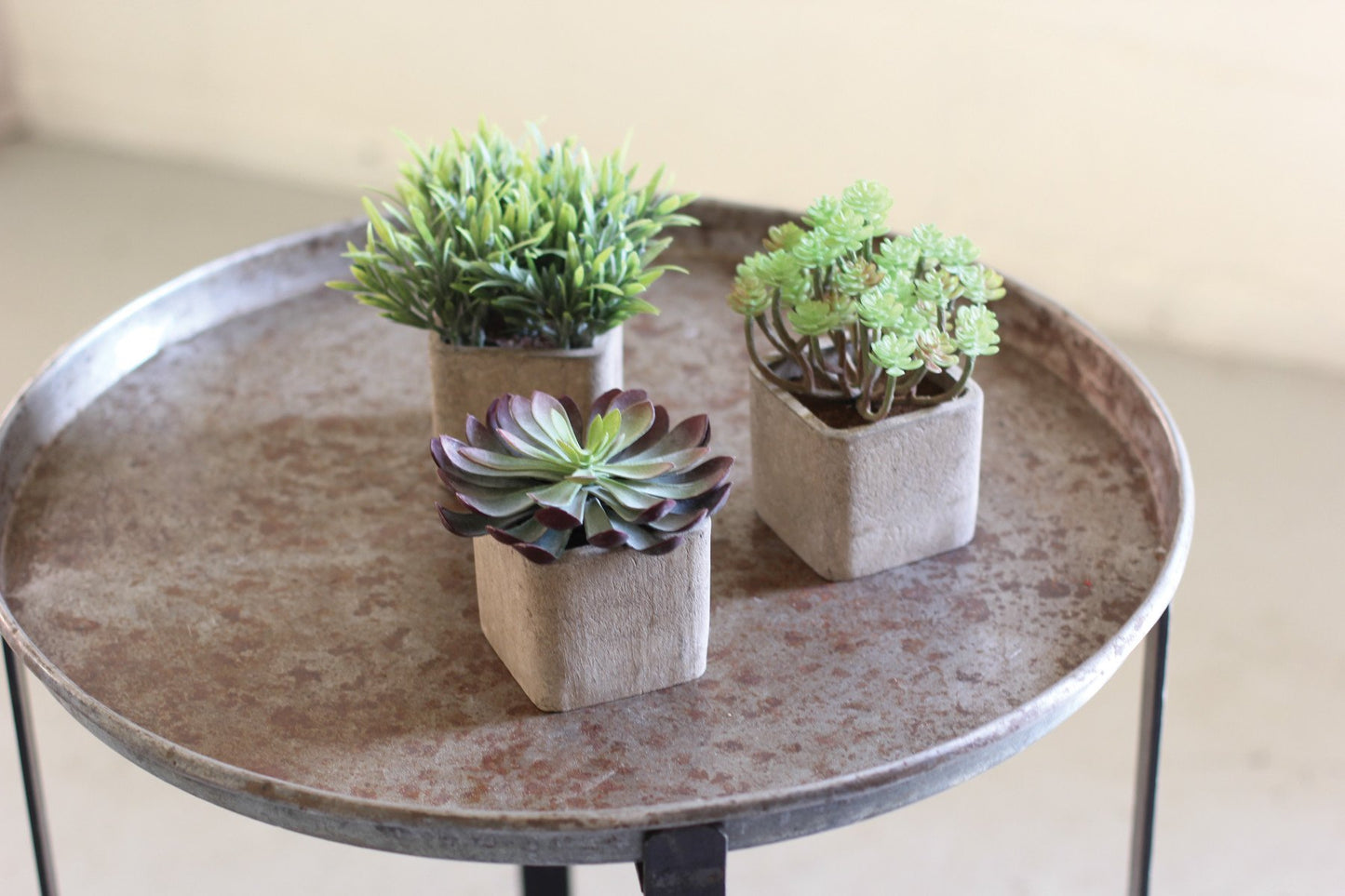 Kalalou Small Artificial Succulents In Square Pots - Set Of 3