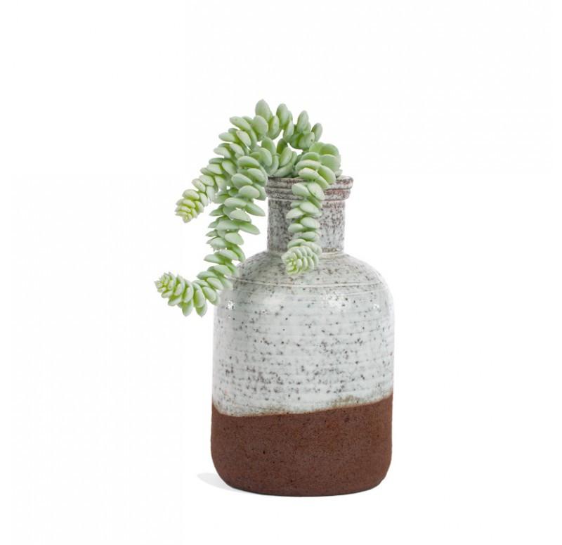 Gold Leaf Design Group Burro's Tail In Oxide Bottle - Set Of 2