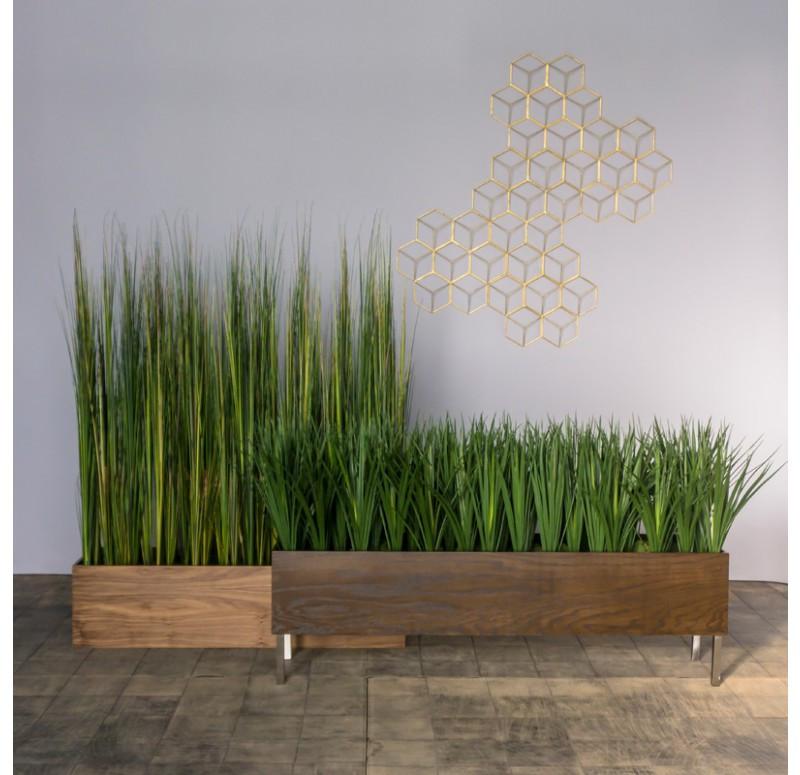 Gold Leaf Design Group Tall Onion Grass In Custom Rectangle Planter