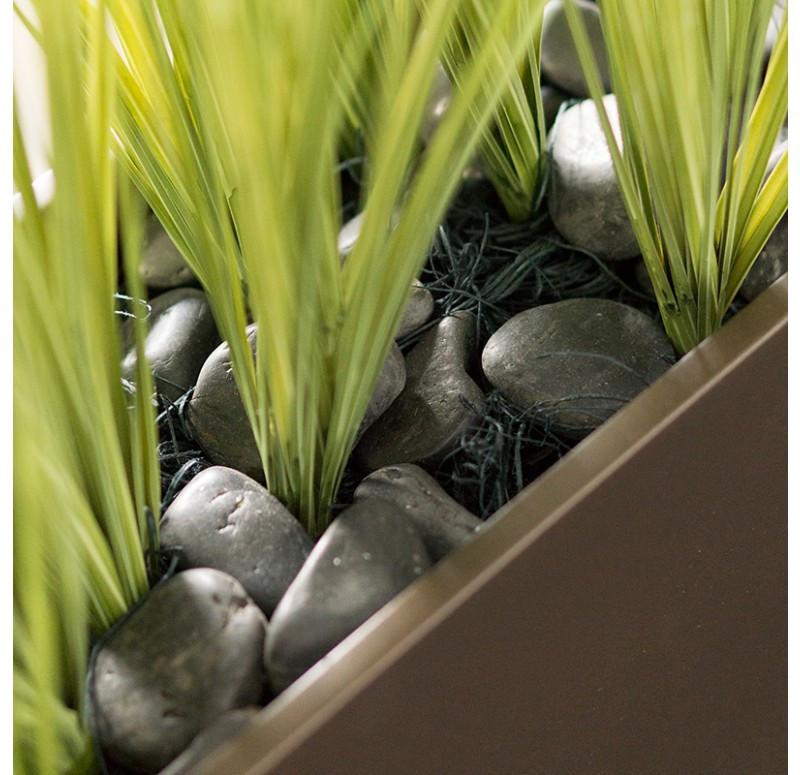 Gold Leaf Design Group Short Japanese Grass In Custom Rectangle Planter