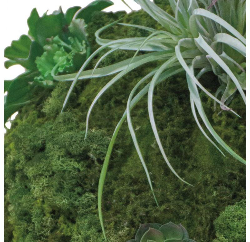 Gold Leaf Design Group California Mix Moss Sphere