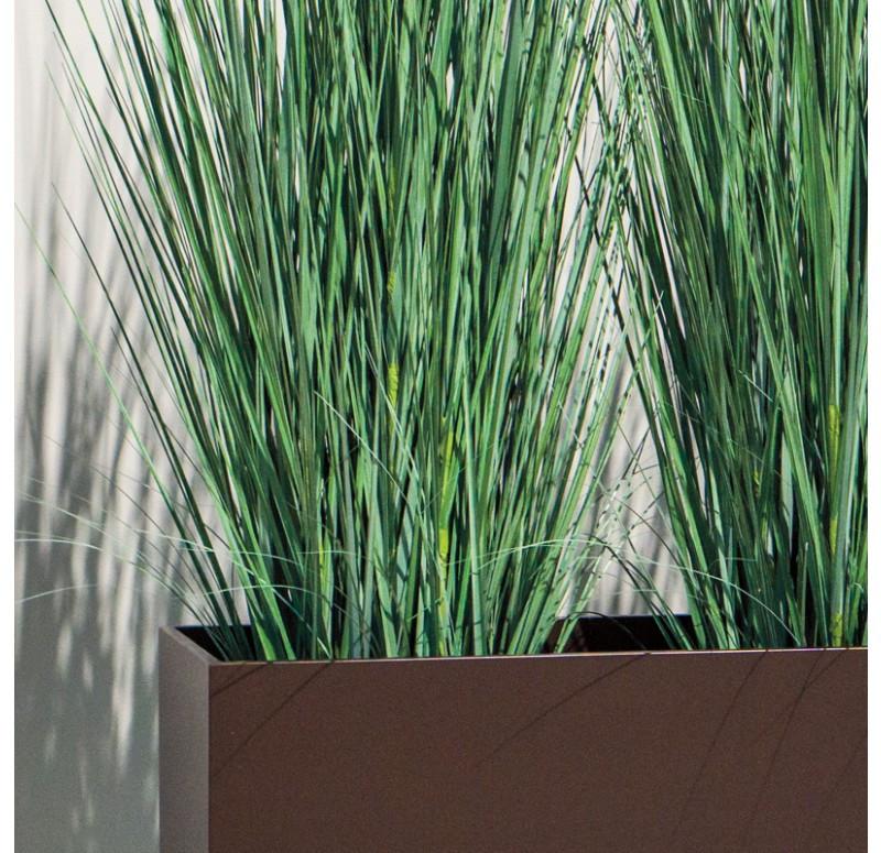 Gold Leaf Design Group Tall Japanese Grass In Custom Rectangle Planter