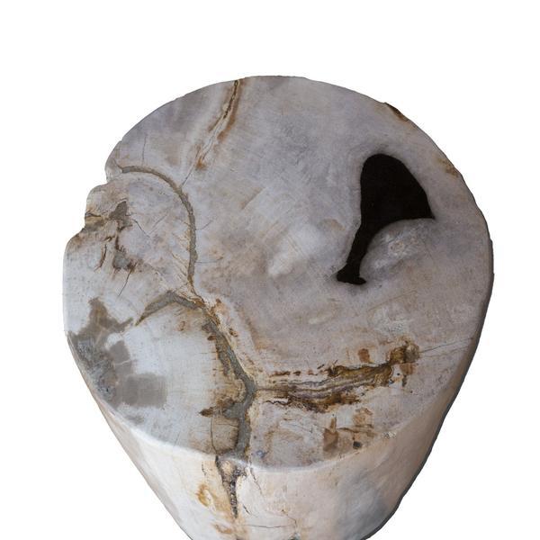 Aire Furniture Petrified Wood Log Stool PF-2111