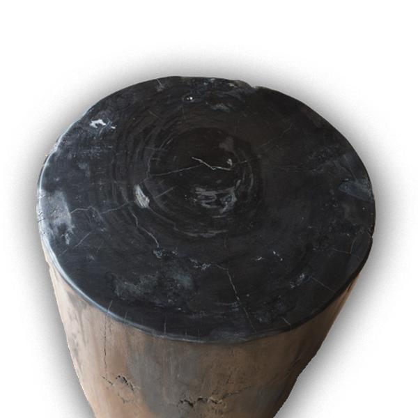Aire Furniture Petrified Wood Log Stool PF-2115
