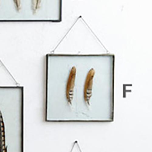 Roost Iron Edged Hanging Frames including Feathers Frames, Roost, - Modish Store