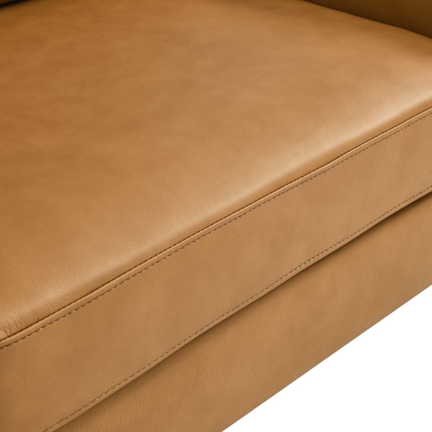 Corland Leather Loveseat By Modway - EEI-6020 | Loveseats - 21