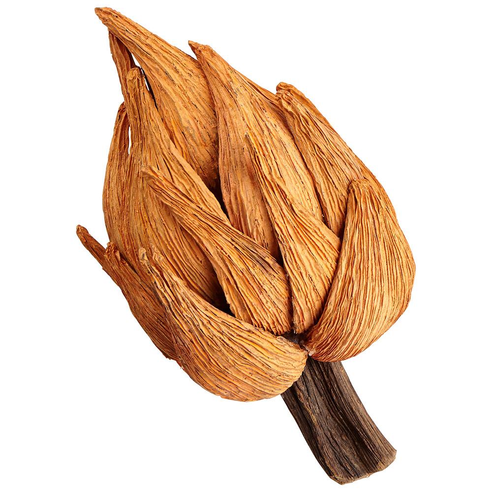 Cyan Design Archy Filler