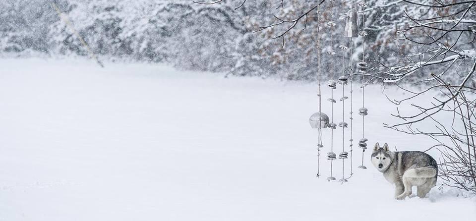 HomePort Windbell Chimes Collection