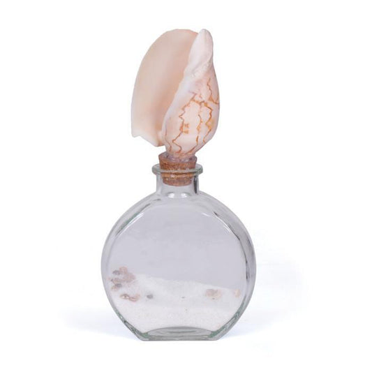 Beach Bottle - Set Of 4 by GO Home