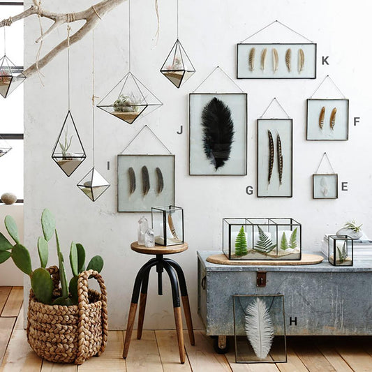 Roost Iron Edged Hanging Frames including Feathers Frames, Roost, - Modish Store