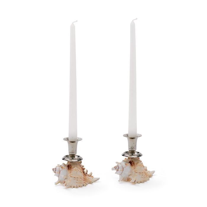 Shell Based Candleholder by GO Home