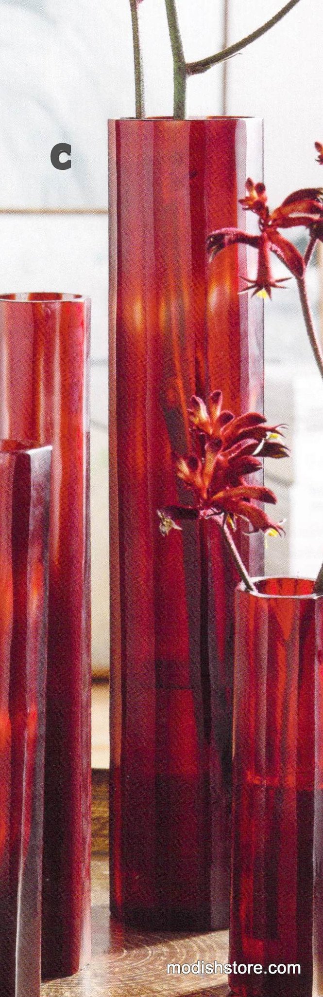 Roost Crimson Cut Glass Collection - Vases