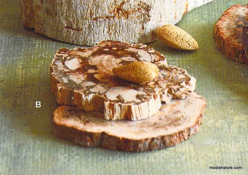 Roost Petrified Wood Slab Coasters - Set Of 4