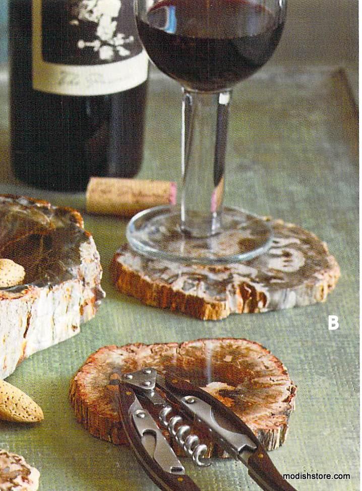 Roost Petrified Wood Slab Coasters - Set Of 4