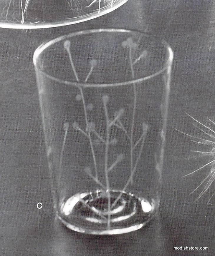 Roost Etched Botanical Glassware