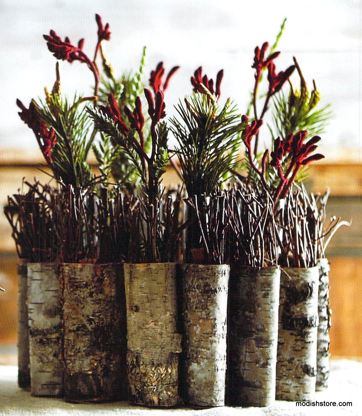 Roost Birch Bark Centerpiece