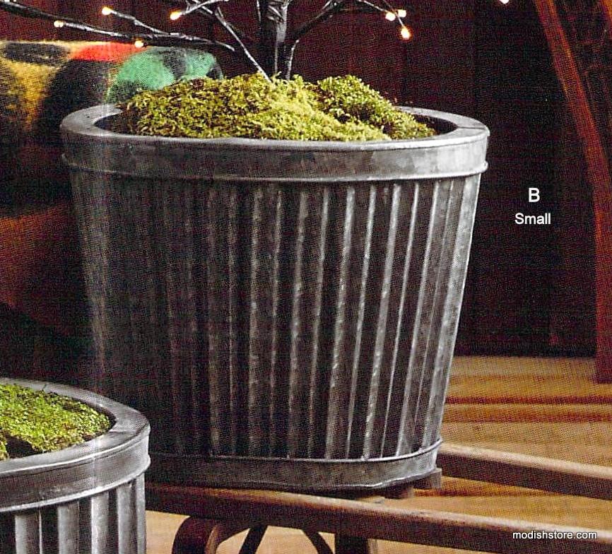 Roost Terrarium Moss - Set Of 6