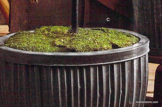 Roost Terrarium Moss - Set Of 6
