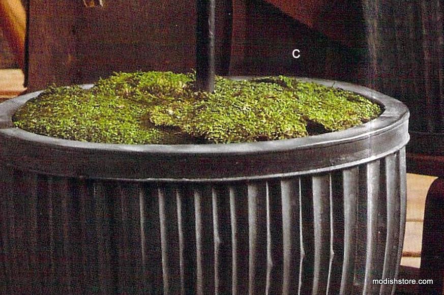 Roost Lighted Galveston Oval Planters