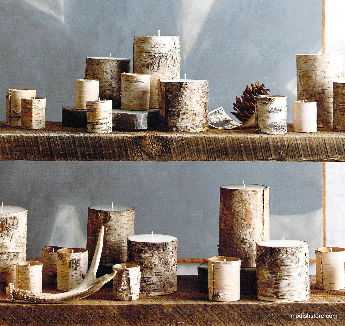 Roost Natural Birch Bark Pillars & Filled Candles