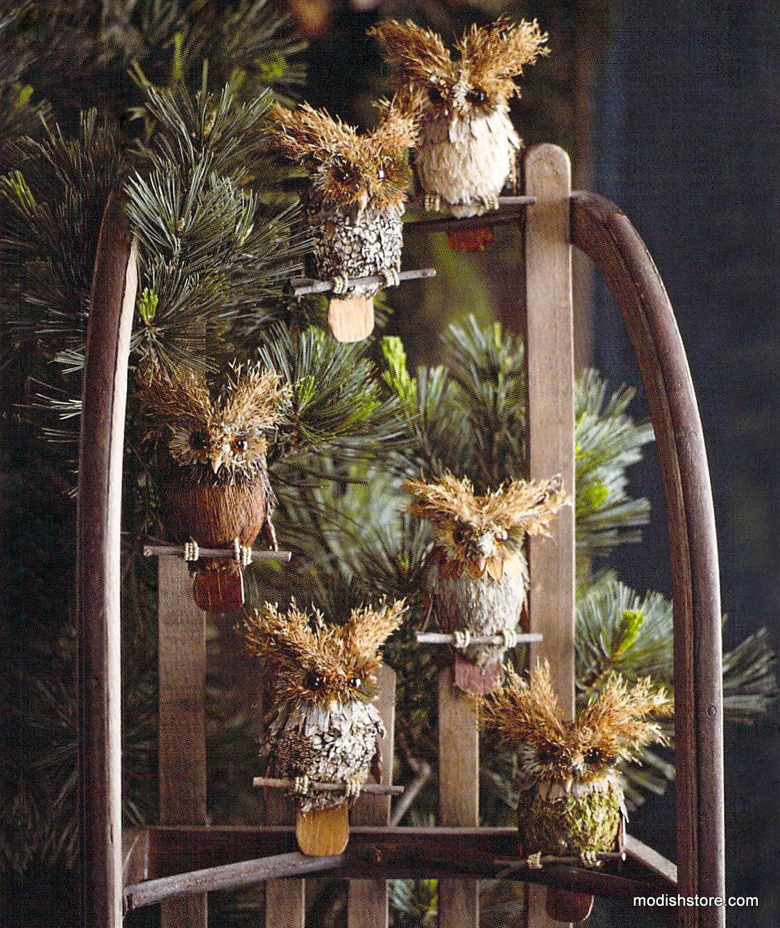 Roost Brushy Brow Owl Ornaments - Set Of 12