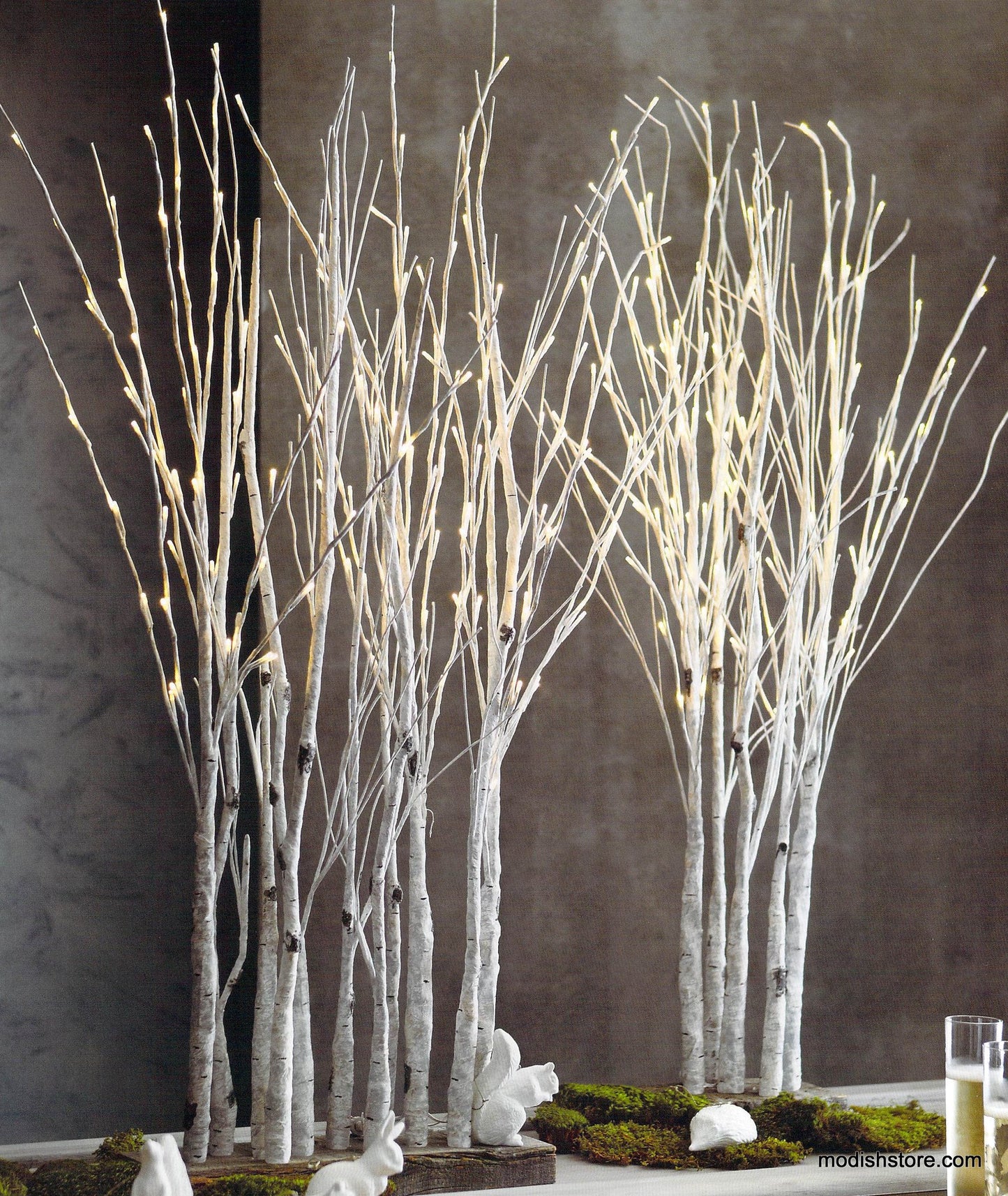Roost Lighted Birch Grove