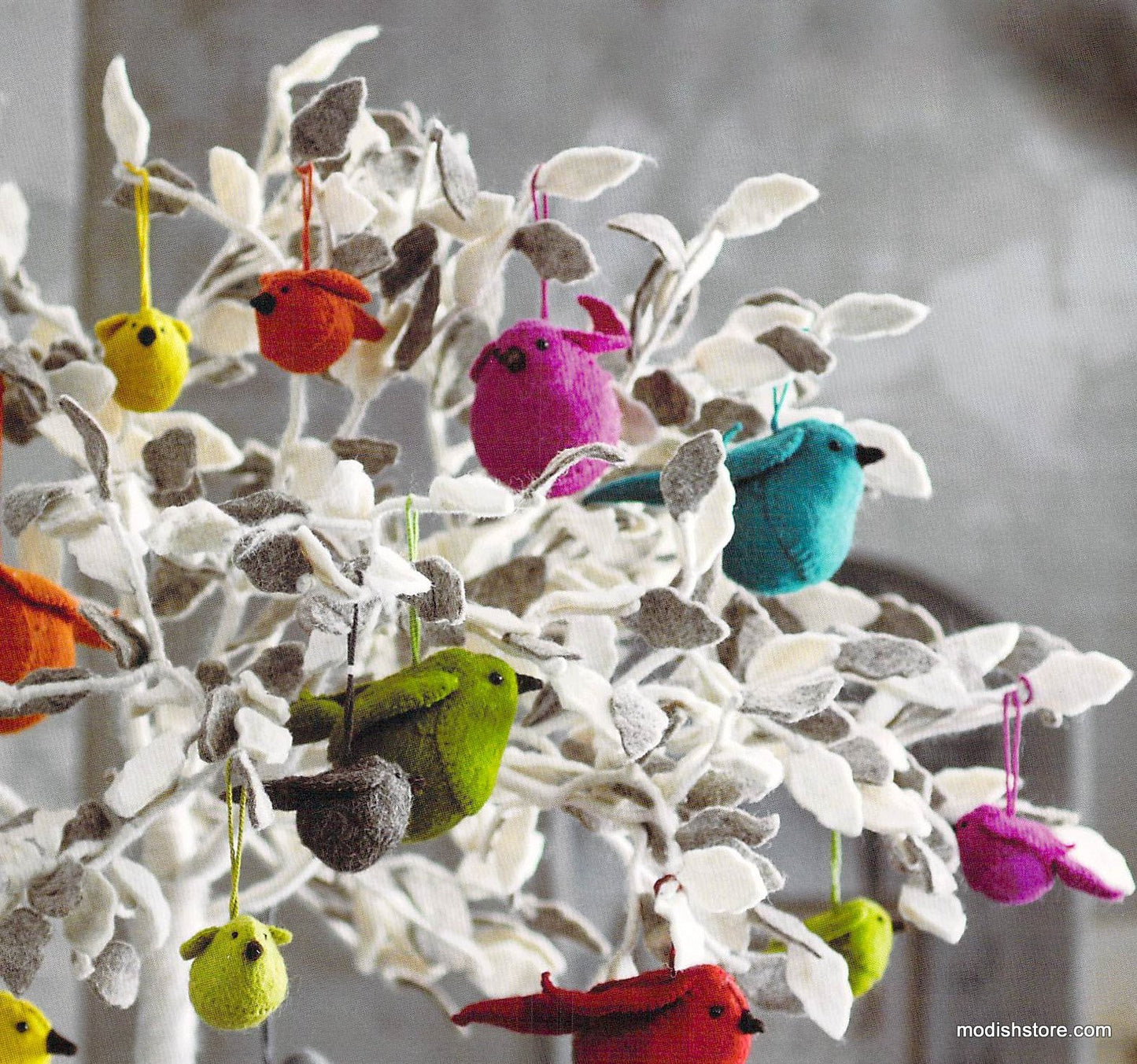 Roost Friendly Forest Tree