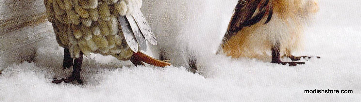 Roost Snowfall To Go - Set Of 6
