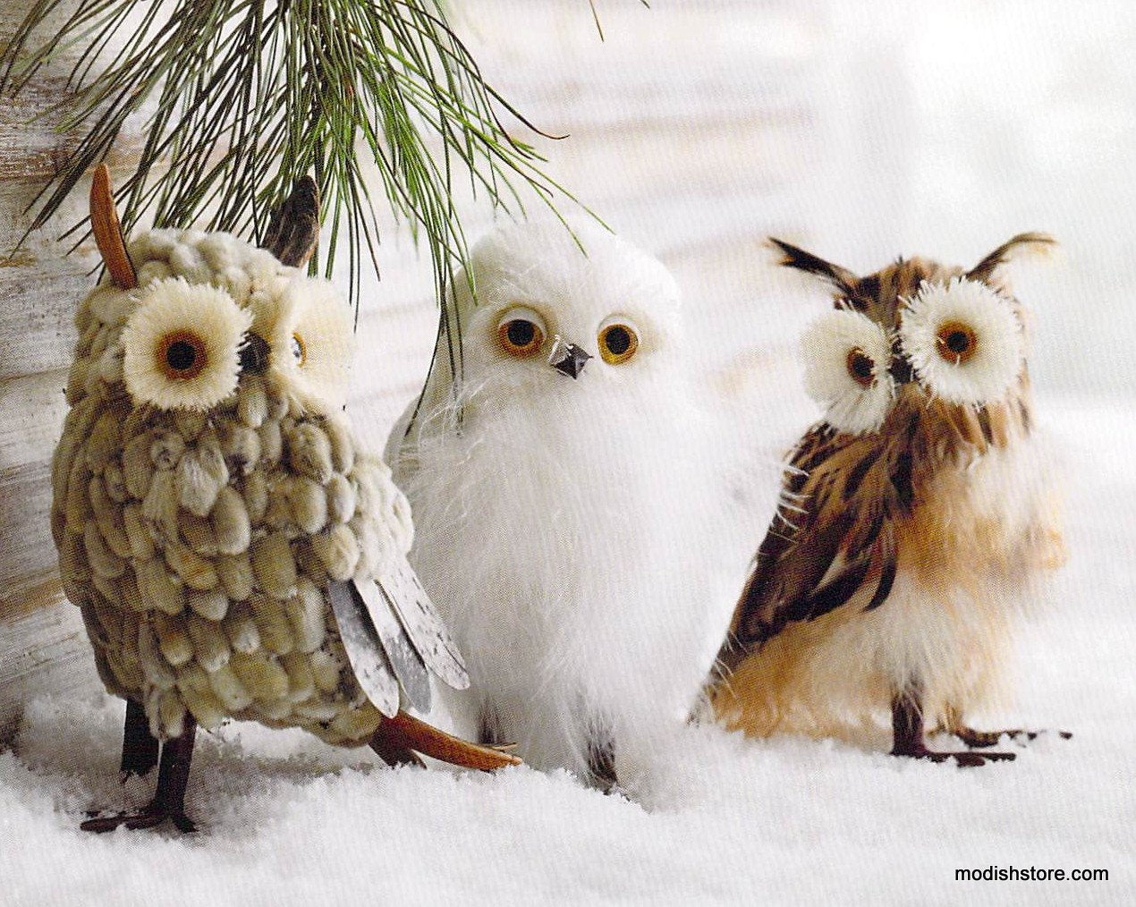Roost Snowfall To Go - Set Of 6