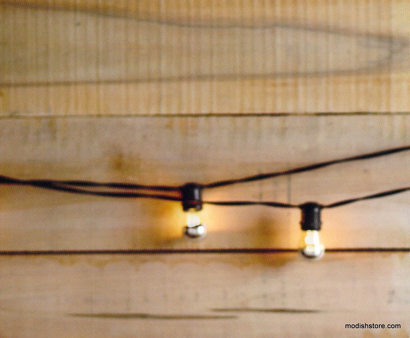 Roost Plaza Outdoor Light Strand & Chrome-Top Bulb
