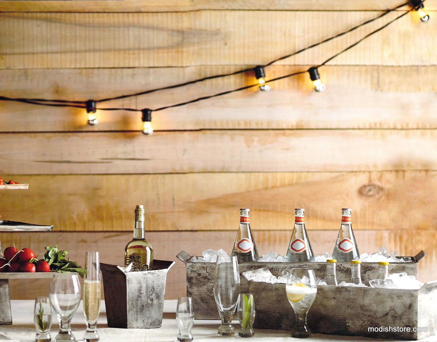 Roost Plaza Outdoor Light Strand & Chrome-Top Bulb