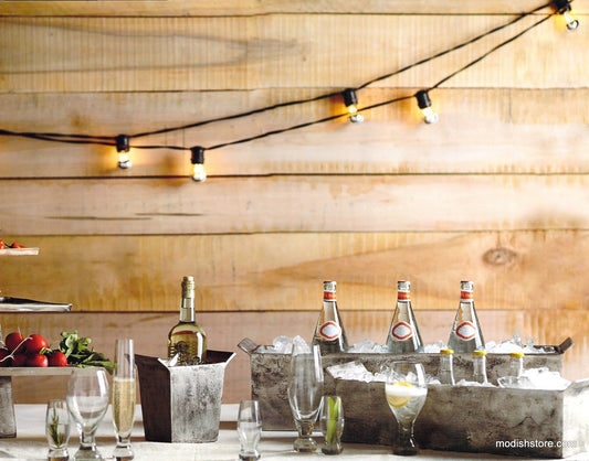 Roost Plaza Outdoor Light Strand & Chrome-Top Bulb