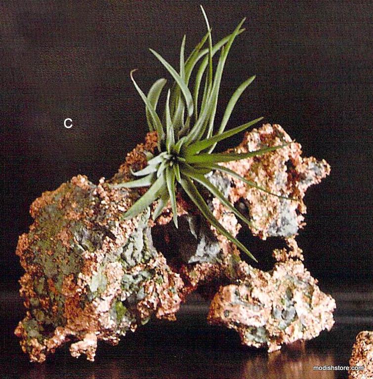 Roost Native Copper Specimens