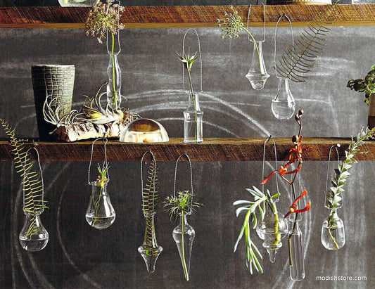 Roost Mini Glass Vases - Mouth Blown Vessels - Set of 12