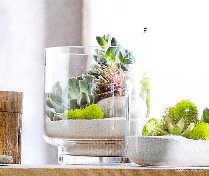 Roost Modern Glass Cylinder Footed Terrariums