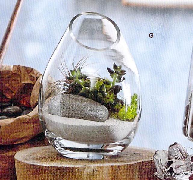 Roost Modern Glass Curve Terrariums