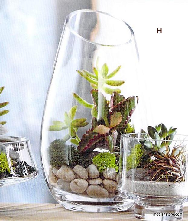Roost Modern Glass Curve Terrariums