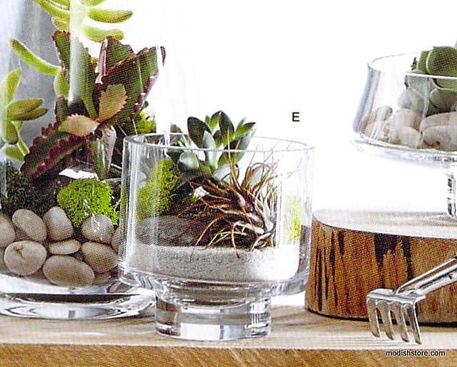 Roost Modern Glass Cylinder Footed Terrariums