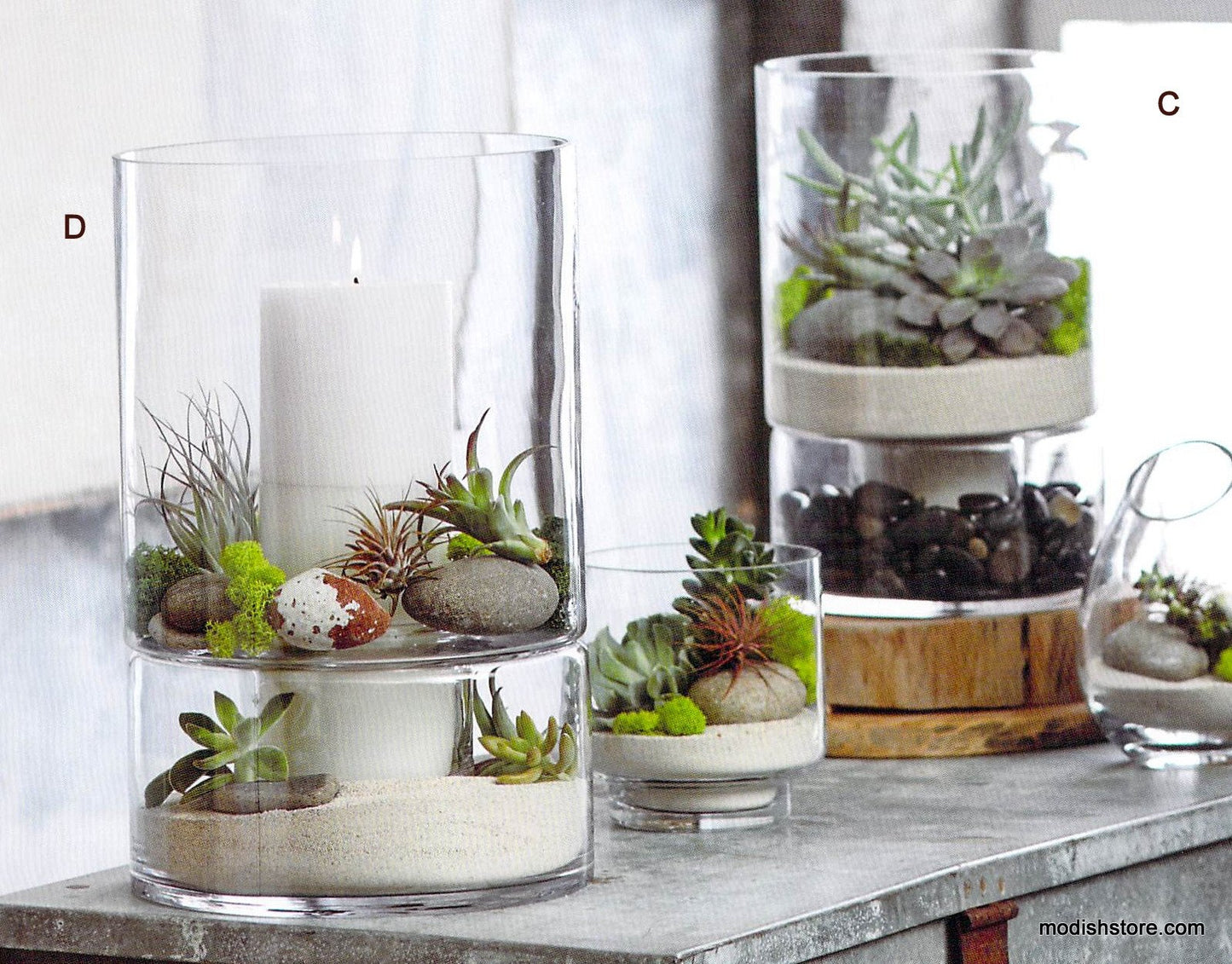 Roost Duplex Terrariums / Hurricanes