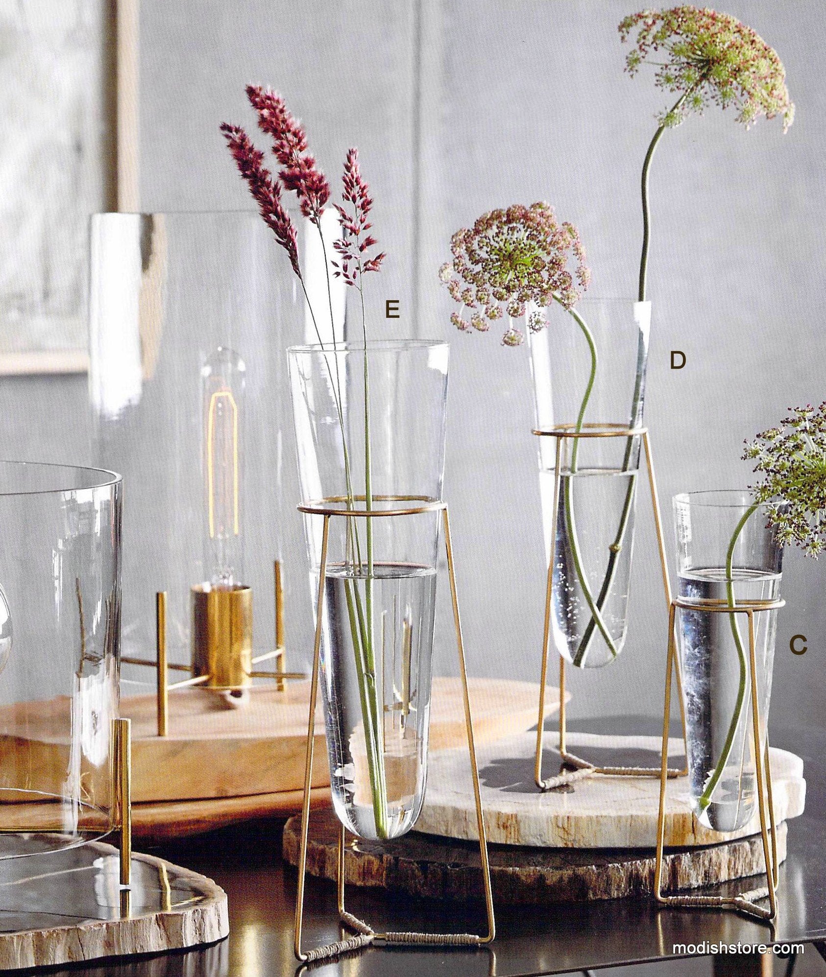 Roost Brass Ring Standing Vases
