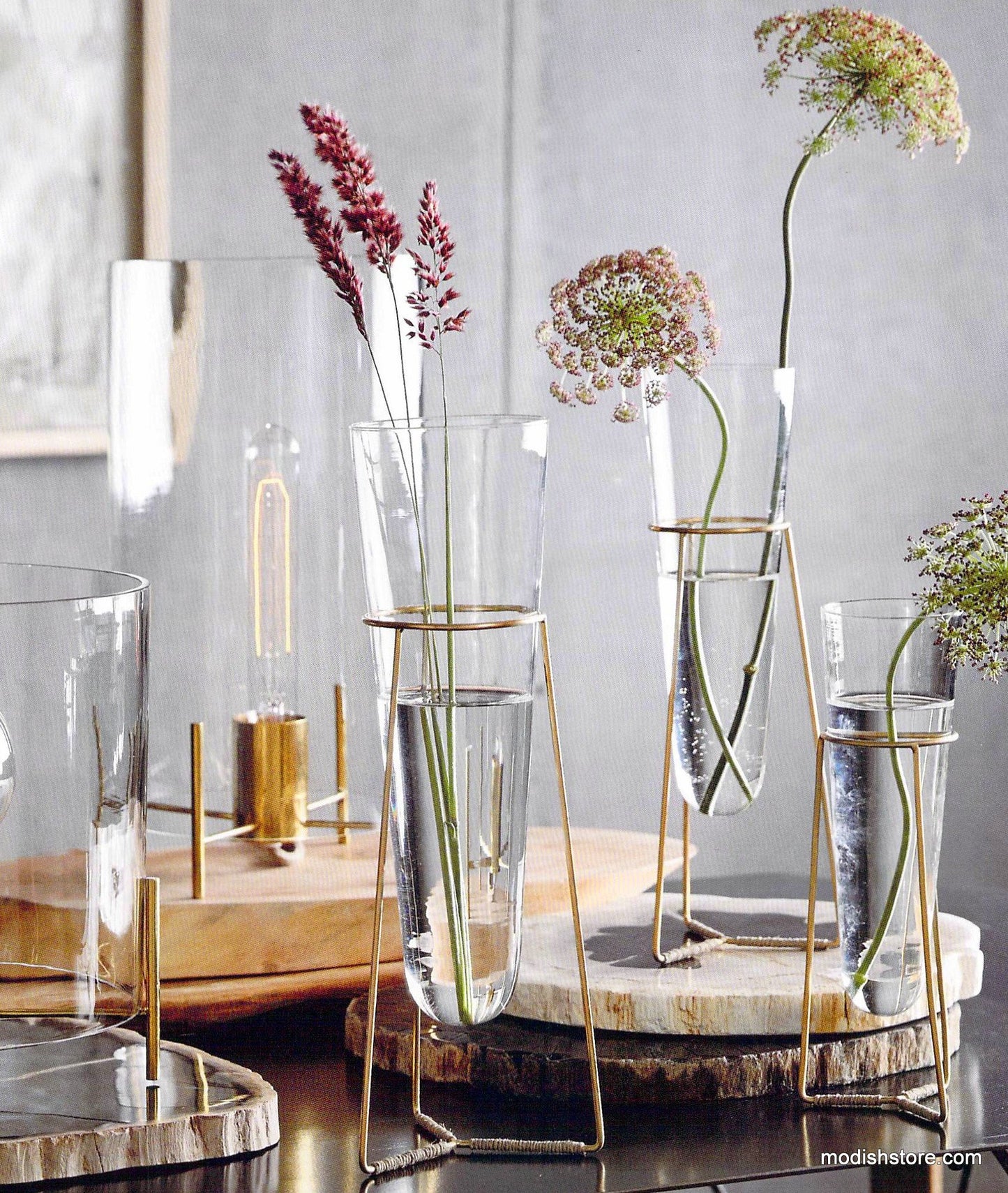 Roost Brass Ring Standing Vases