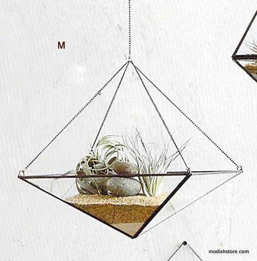 Roost Geo Hanging Terrariums