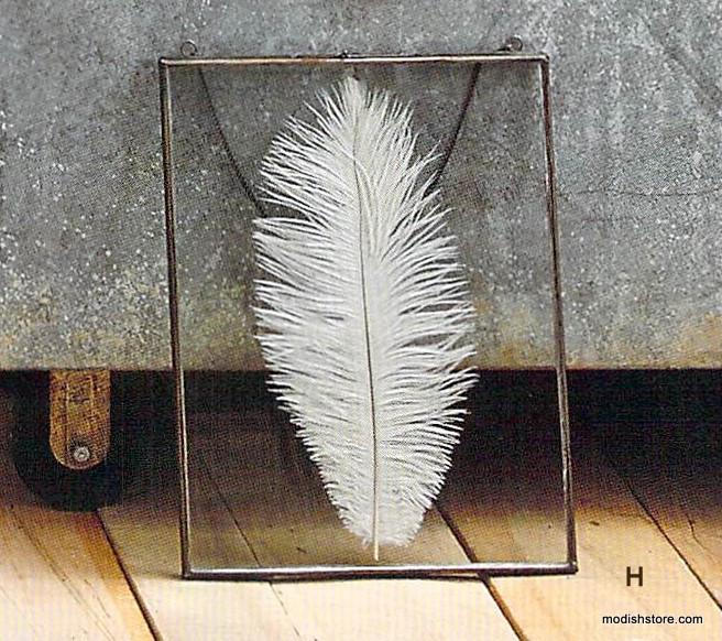 Roost Iron Edged Hanging Frames - including Feathers